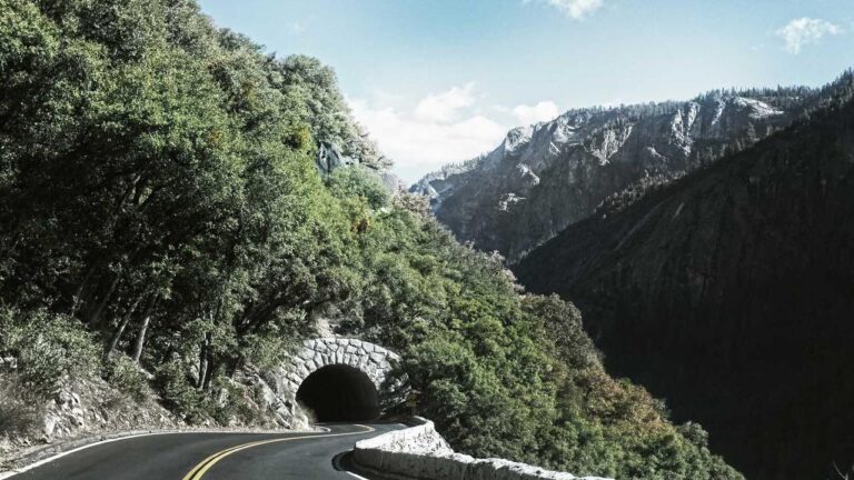 How To Play Cricbet99 During The Ipl Season?