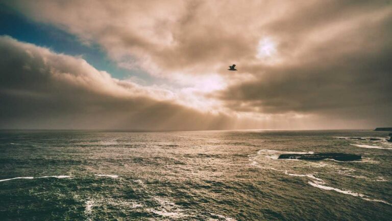 How Reliable Is 99Exch 24X7 Support For Resolving Account Issues?